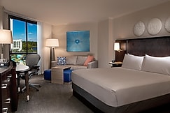 Hilton Orlando Buena Vista Palace - Disney Springs? Area, Brevard
