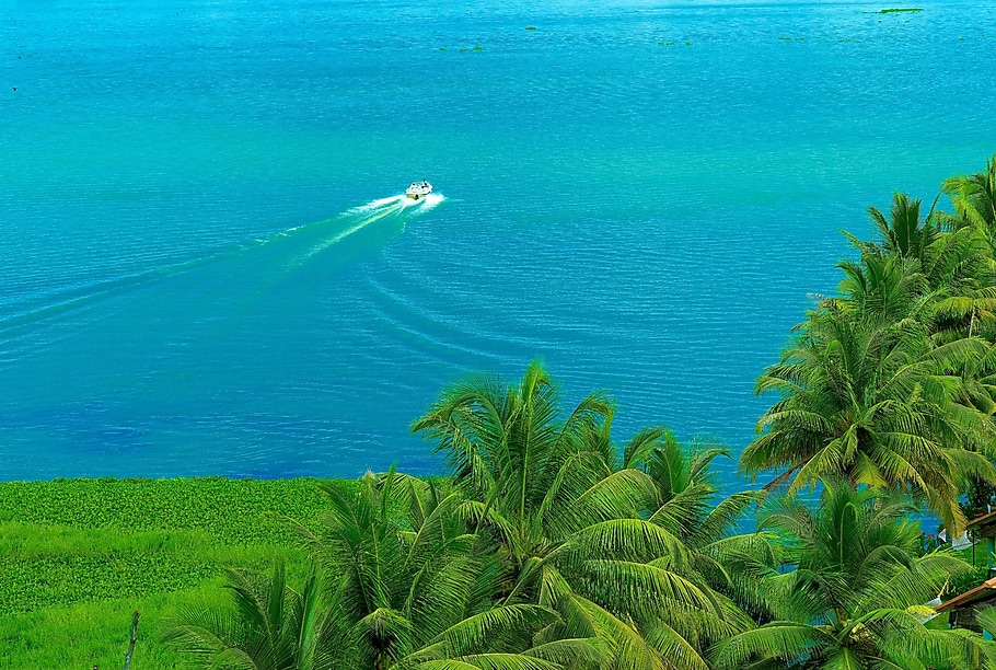 Back Wate Ripples Backwater Ripples Best Rates on Kumarakom Hotel Deals, Reviews & Photos