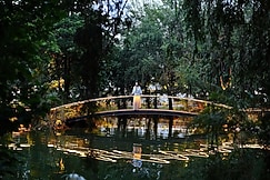 Best Western Resort Country Club, Delhi