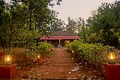 Wild Haven Resort, Bandhavgarh