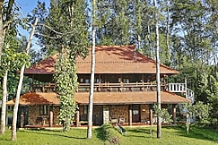 Elephant Valley 15 Kms from Kodai, Kodaikanal