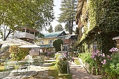 Alps Resorts, Dharamshala