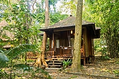 Barefoot at Havelock, Swaraj Dweep (Havelock)