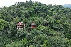 Planet Green Plantation Resort, Wayanad