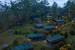 Nature Zone Jungle Resort, Munnar