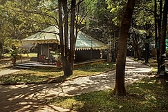 Olde Bangalore Resort and Wellness Center, Bangalore