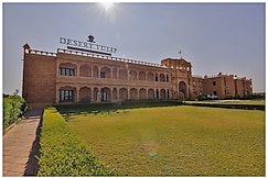 Desert Tulip, Jaisalmer
