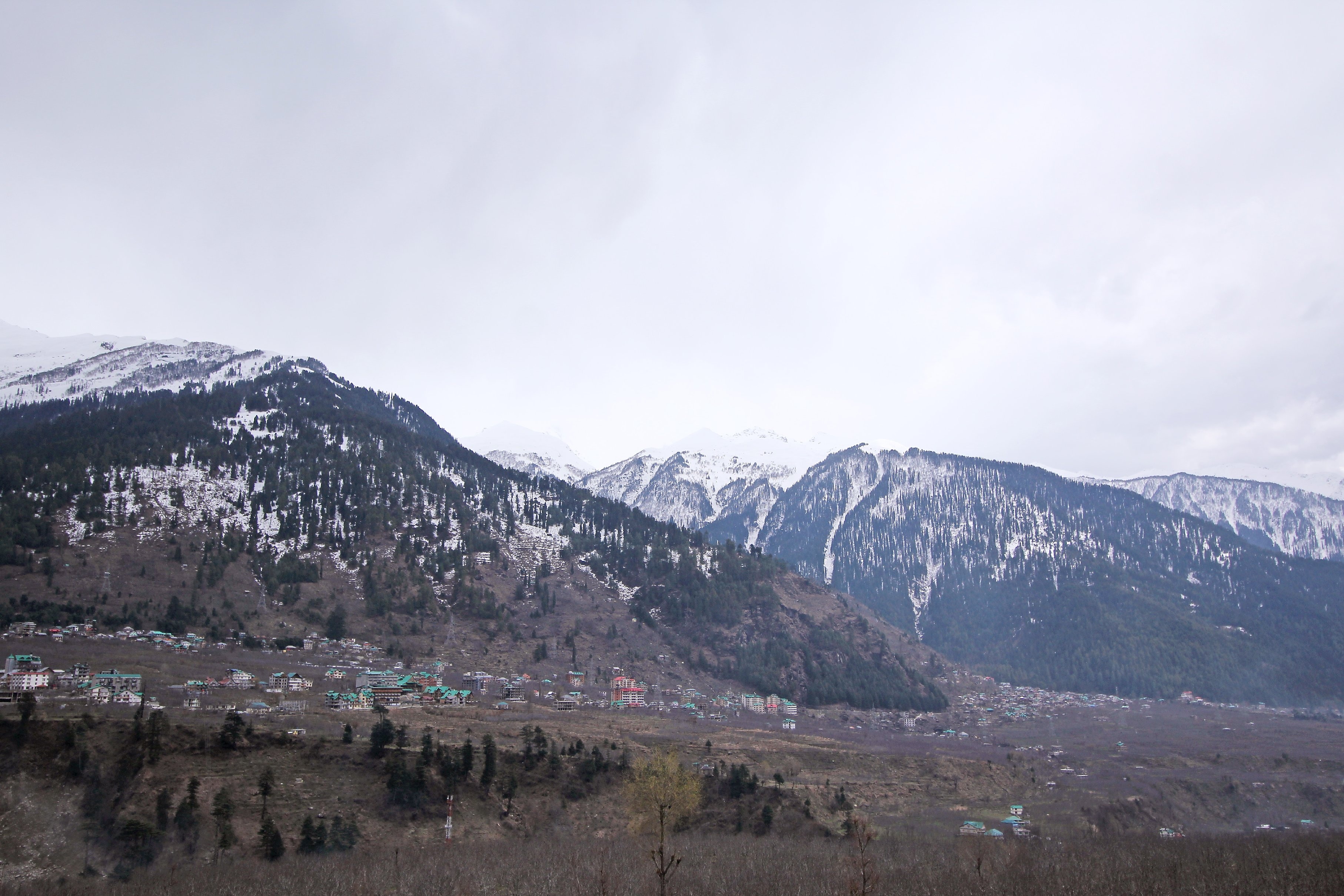 Hotel Royal Orchard - Manali - Tap to explore photos