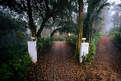 The Capitol Village Resort, Coorg