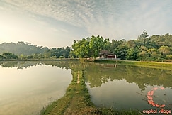 The Capitol Village Resort, Coorg