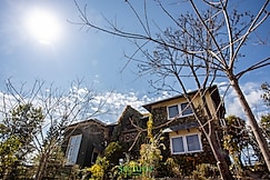 Seclude Palampur - Eco Friendly Villa , Dharamshala