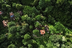 Mahout Resort, Wayanad