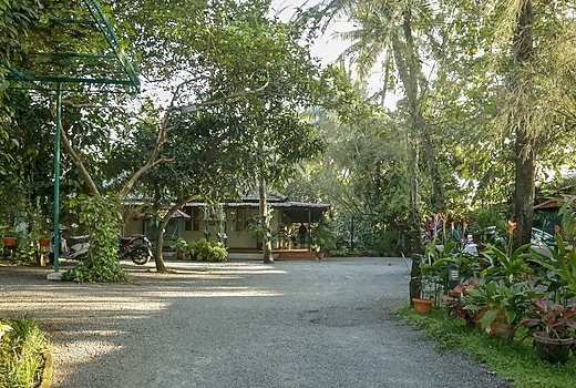 Palm Grove Service Villa | Rooms & Wi-Fi