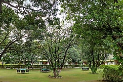 Maya The Forest Resort, Pauri