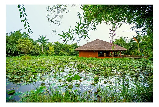 Bitki Yetithtirme Kabini Set