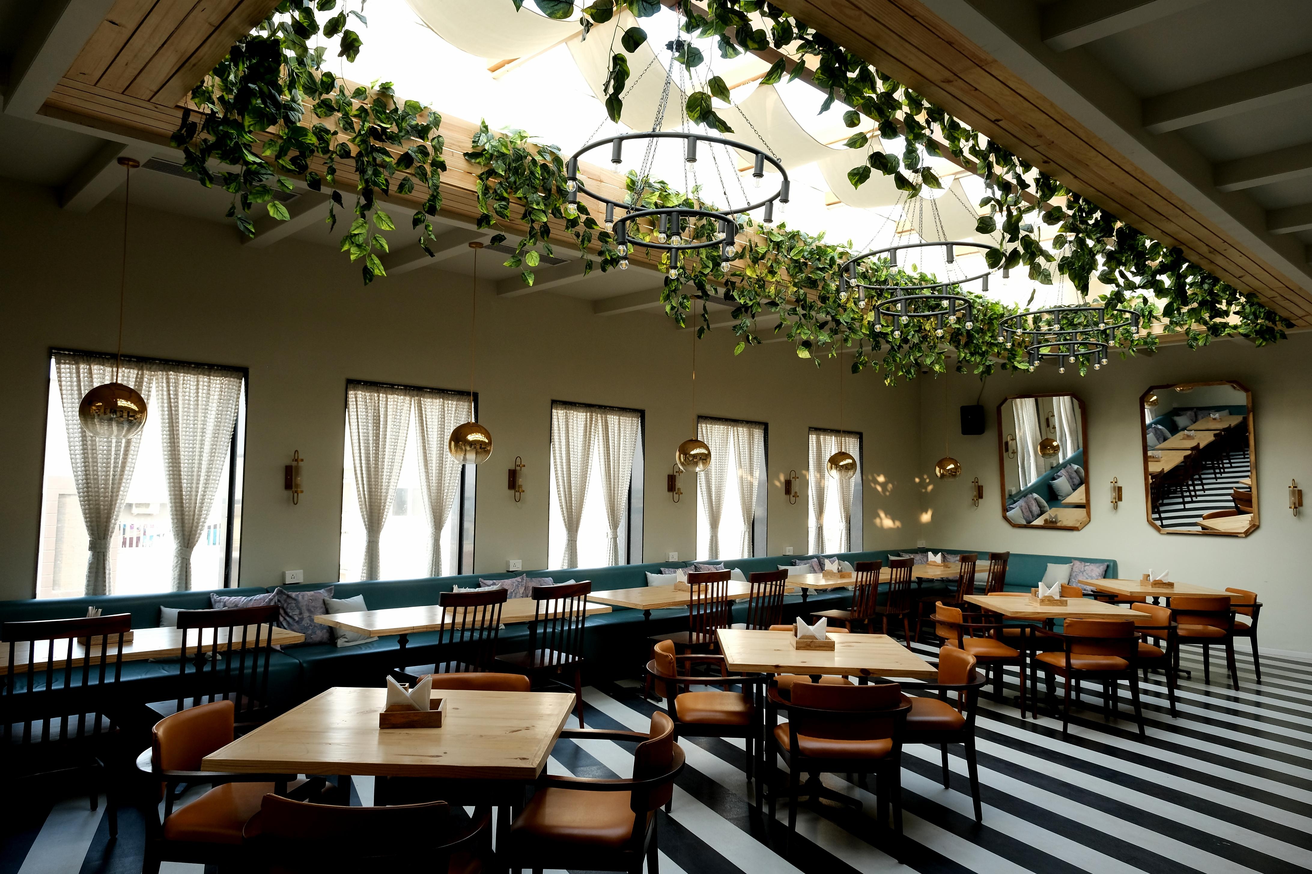 The Wallflower Hotel Best Rates on Kota Hotel Deals, Reviews & Photos