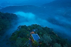 Eterno Camellia and Elettaria, Munnar