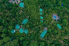 The Woods Resorts Wayanad, Wayanad