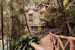 Kasauli Hills Resorts