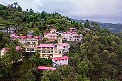 Maple Resort Chail