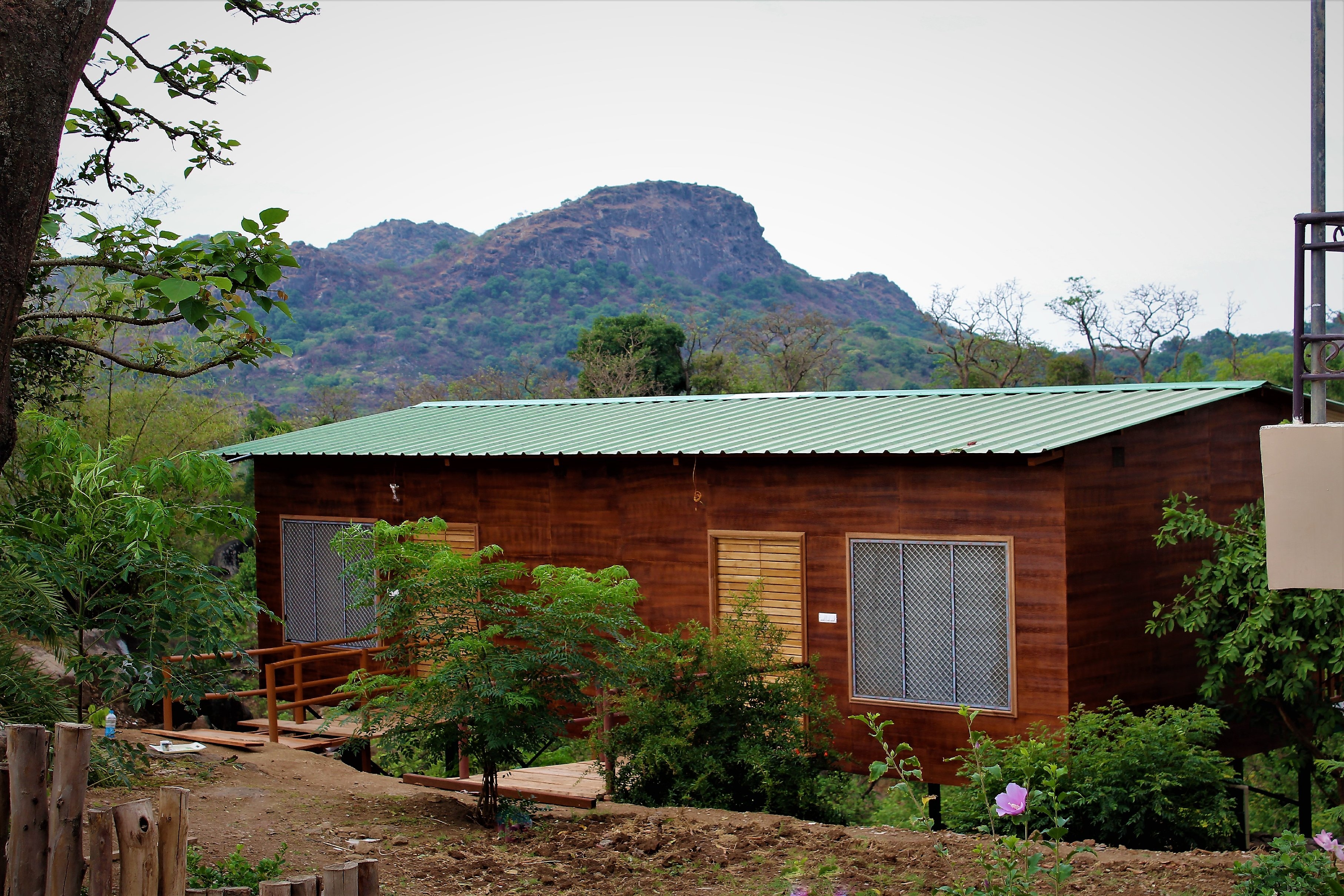 eco forest house price