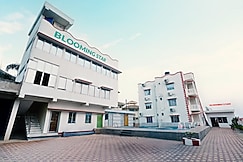 Blooming Star , Mandarmani