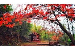 Devigiri Homestay, Chikmagalur