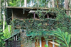 Greenspaces Munnar | Rooms in a Homestay, Munnar