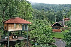 Avadale Wayanad (Stag Groups Not Allowed), Wayanad