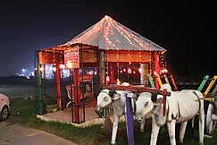 LEGACY SUITS AND RESORT, Amroha