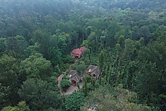 Natura Vista | A Plantation Stay, Coorg