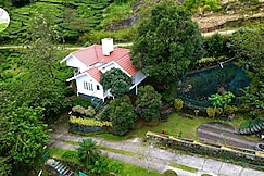 Falcon Crest