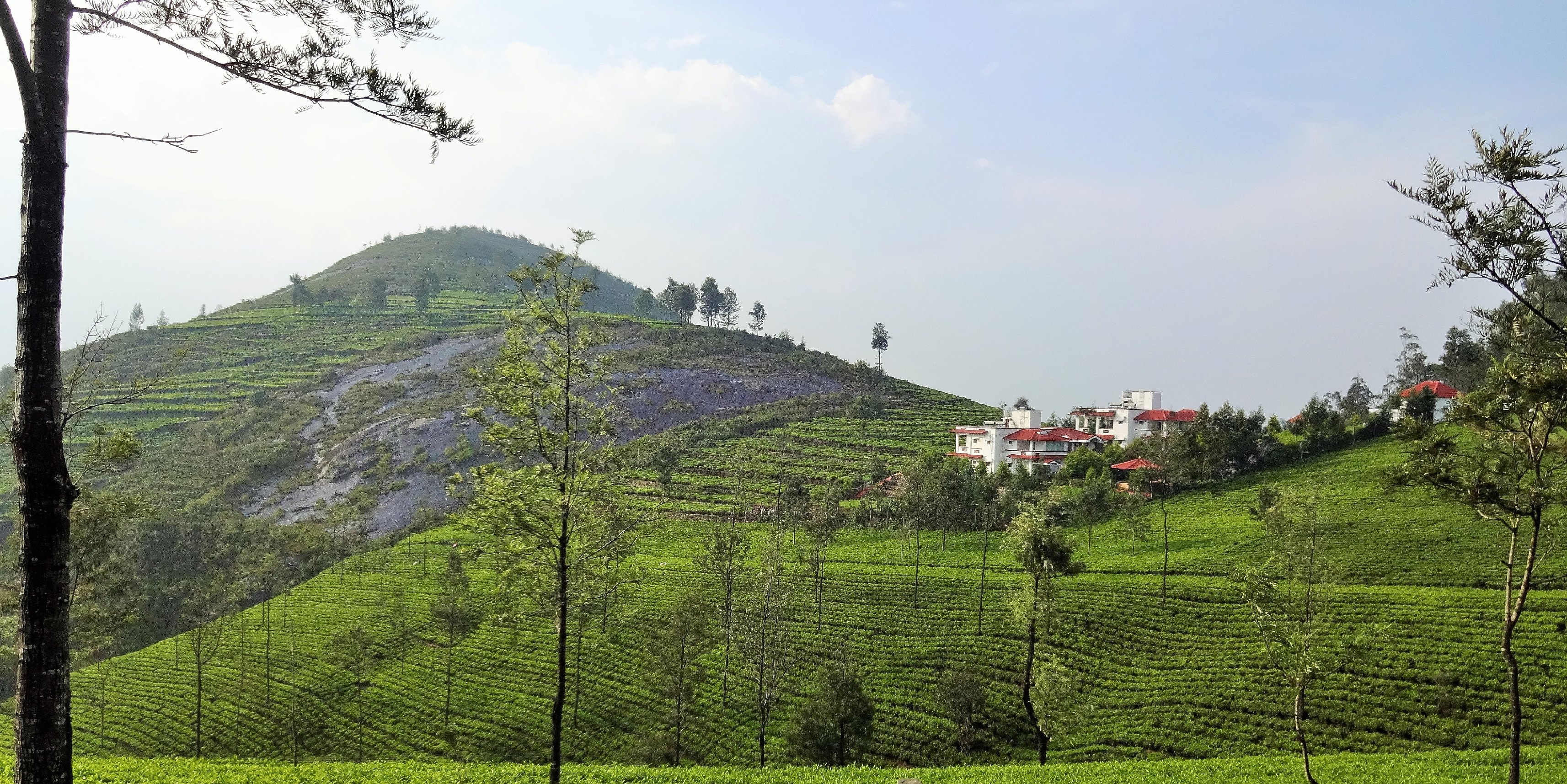 Green Nest Resort Tea Plantation Escape Kotagiri Resort Price