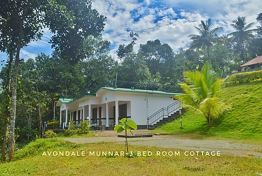 Avondale Cottage Munnar Inr 231 Off 1 5 0 0 Cottage Price Address Reviews