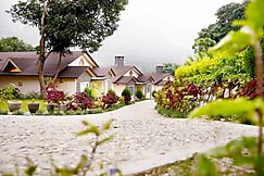 LaTigre Resort, Sult