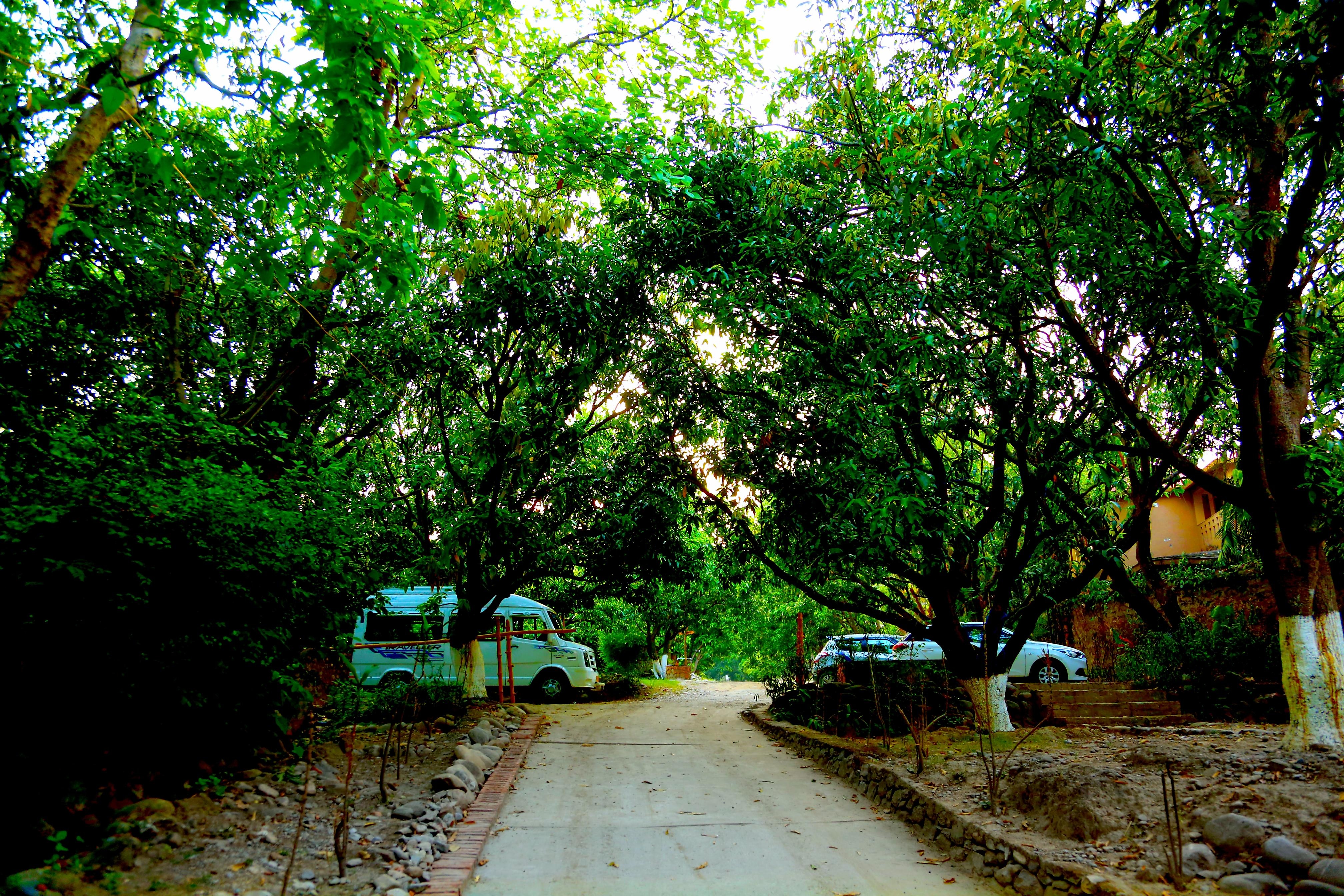 Vanya River Resort - Tap to explore photos