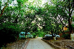 Vanya River Resort, Jim Corbett (Ramnagar)