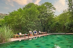 Trees and Tigers Sariska