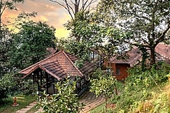 Vythiri Mist Resort, Wayanad