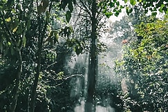 Wonder Caves, Wayanad