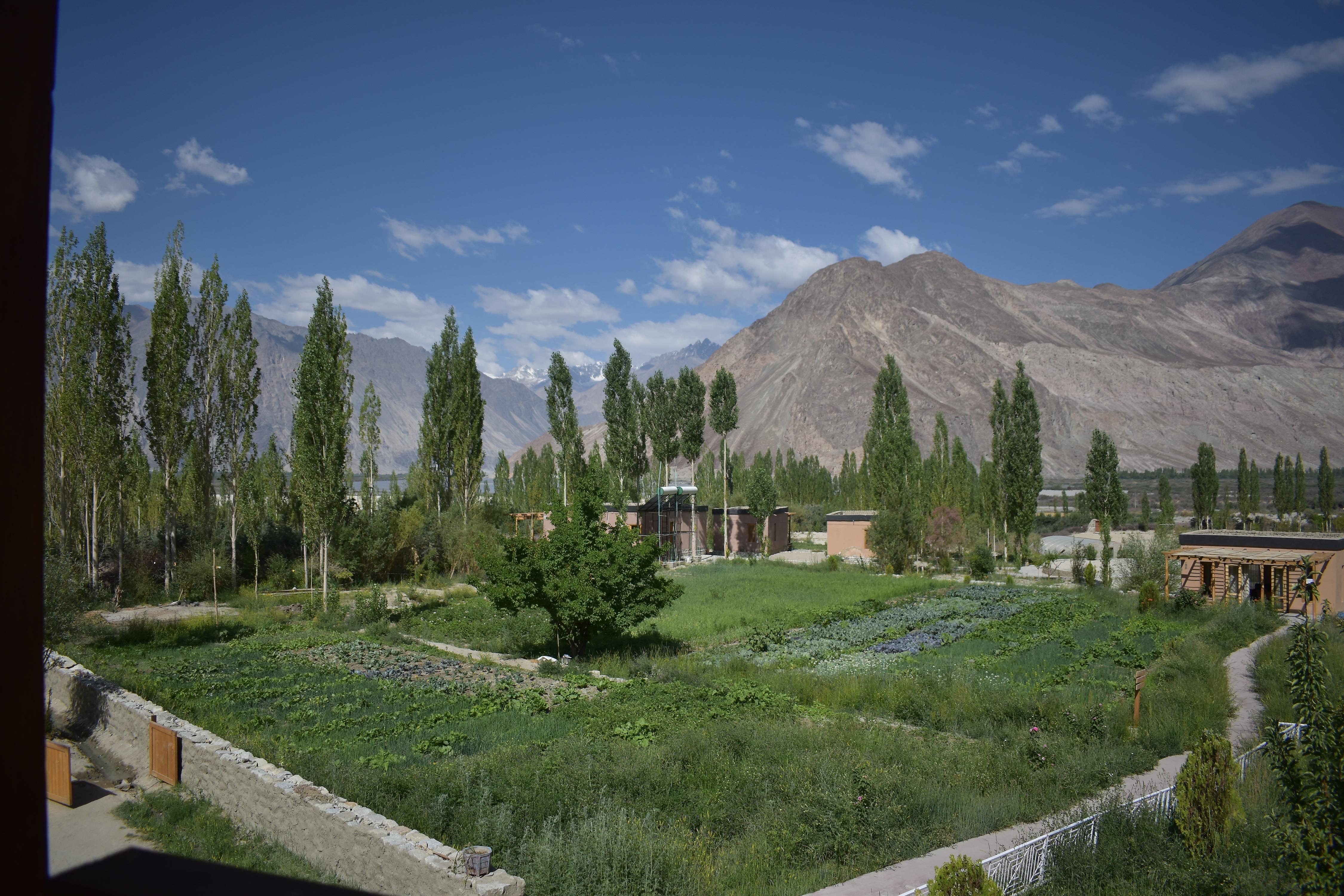 Photo 30
