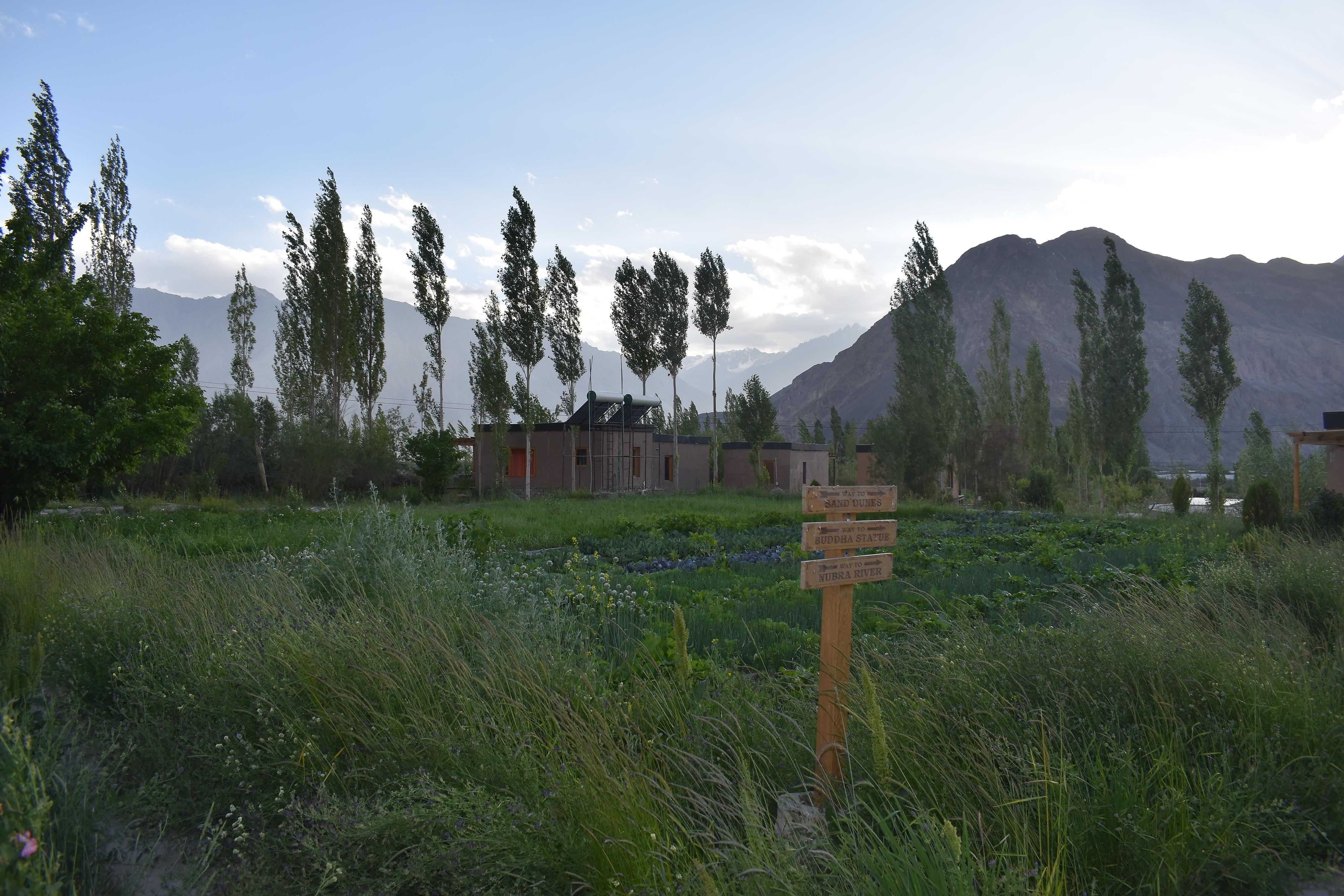 Photo 20