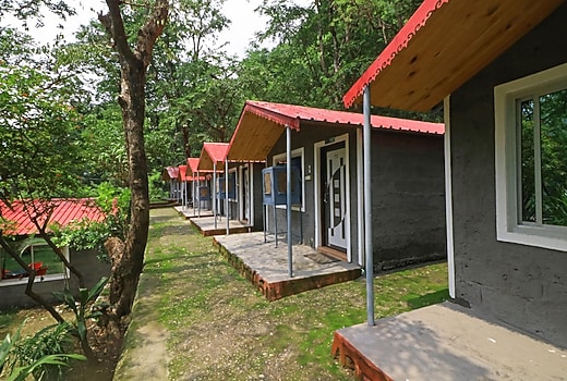 StayApart I Rooms at Birds - The Jungle Retreat