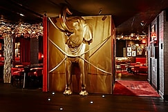 The Vagabond Club, a Marriott Tribute Portfolio Hotel