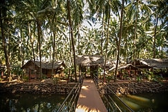 The Palm Trees Ayurvedic Heritage Resort, Goa