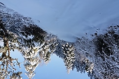 Garden Cottage, Dhanolti, Kanatal