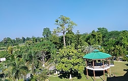 Outdoors
