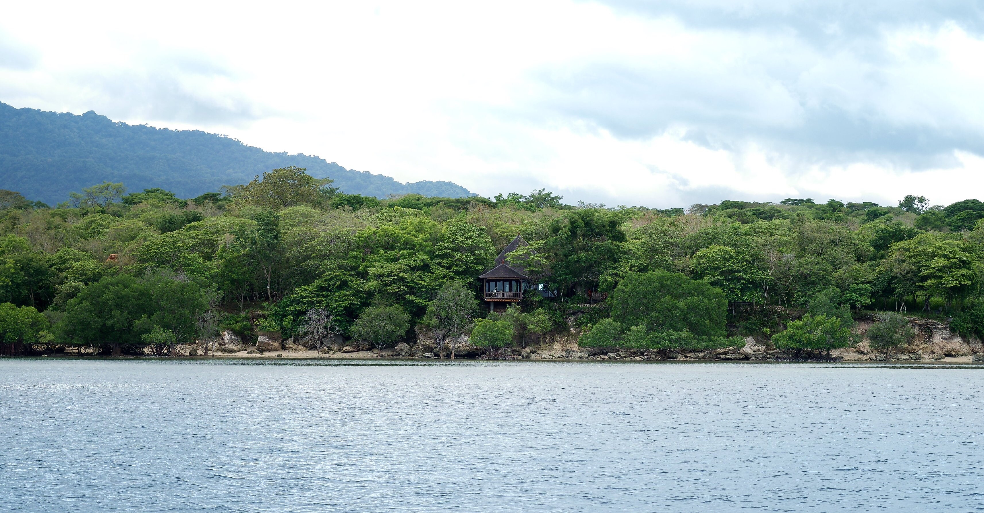 12+ Plataran Menjangan Resort And Spa Background