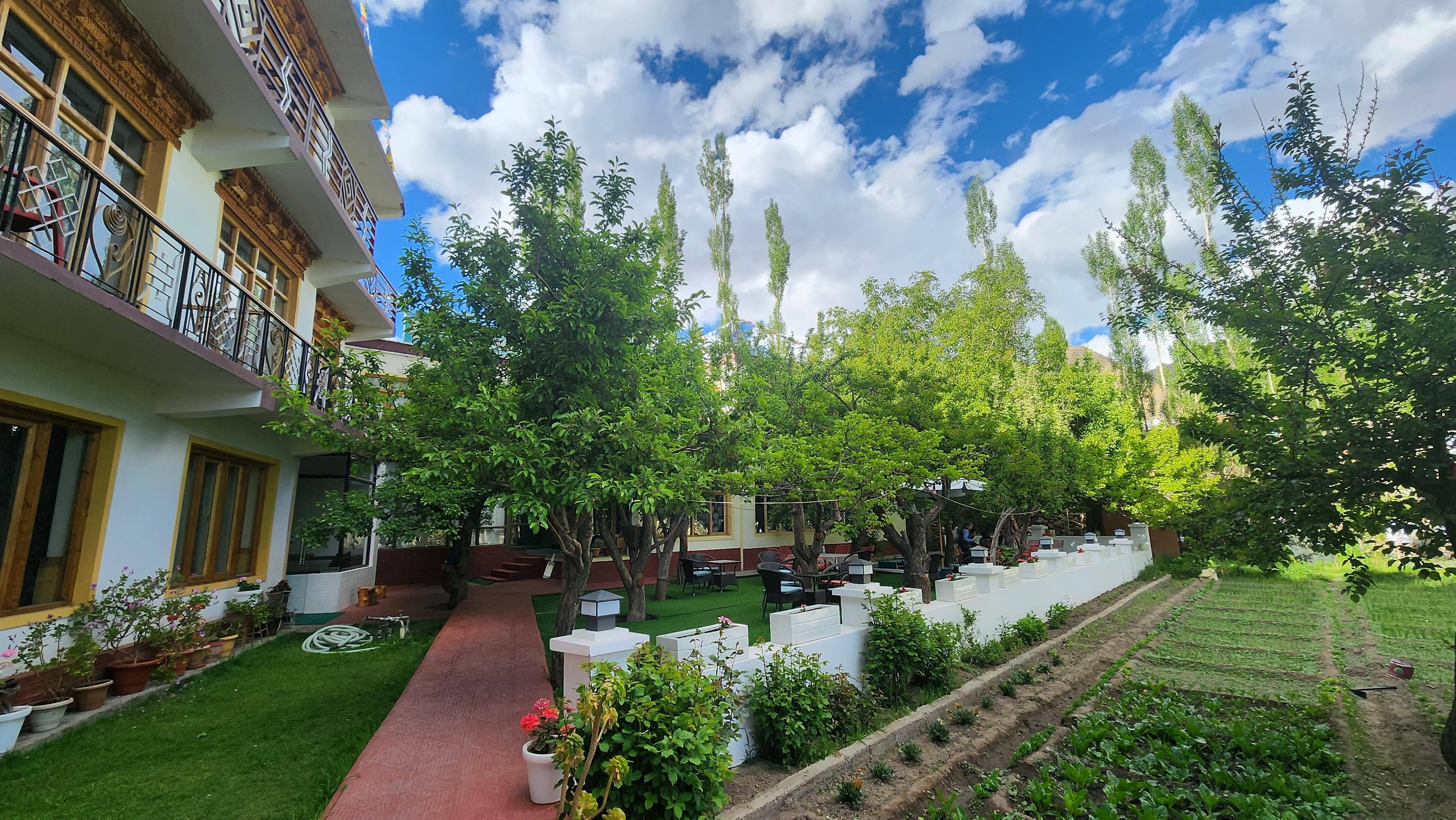 Hotel Zik Zik Holidays - Tap to explore photos