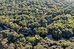 The Brook Ville, Sasan Gir